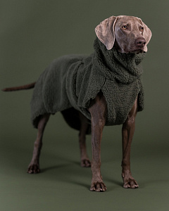 Меховая рубашка для собак на Seawool-подкладке PAIKKA Sherpa Shirt Olive