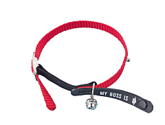 Ошейник для котов с колькольчиком и кнопкой-адресником Мой Босс My Boss Cat Collar & Address Nobby