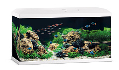 Акваріум 110 л з комплектом обладнання та системою фільтрації Bioflow Super Juwel Primo 110 LED