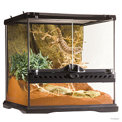 Тераріум скляний 30 х 30 х 30 см Exo Terra Natural Terrarium Mini Wide PT2600 Тераріум скляний 30 х 30 х 30 см Exo Terra Natural Terrarium Mini Wide PT2600