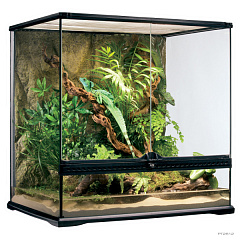 Тераріум скляний 60 x 45 x 60 см Exo Terra Natural Terrarium Medium Tall PT2612