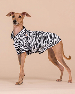 Інноваційна сорочка для собак з захистом від ультрафіолету та комах PAIKKA SS25 UV & Bug Shirt