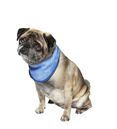 Охолоджуюча бандана для собак Cooling Scarf Nobby Охолоджуюча бандана для собак Cooling Scarf Nobby