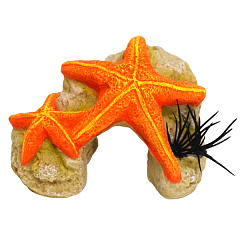 Декор для акваріума Морська Зірка на Коралі Coral & Starfish Aqua Ornaments Nobby Декор для акваріума Морська Зірка на Коралі Coral & Starfish Aqua Ornaments Nobby