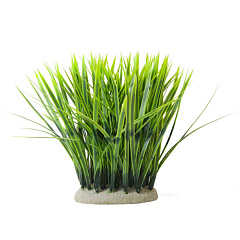 Декоративна рослина для акваріума Валіснерія Vallisneria Aqua Plant Nobby