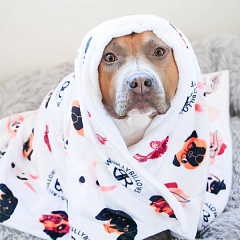 Утяжеленное успокаивающее кашемировое одеяло для собак и людей BullyBillows Luxury Dog & Human Blanket White