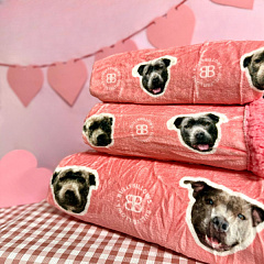 Розовое кашемировое утяжеленное одеяло для собак и людей BullyBillows Luxury Dog & Human Blanket Myla Pink Edition