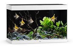 Акваріум 290 л з комплектом обладнання та системою фільтрації Bioflow L Juwel Rio 290 LED