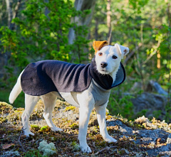 Зимова туніка зі спеціальною FIR-підкладкою для собак PAIKKA Recovery Winter Shirt