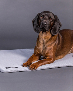 Інноваційна охолоджуюча підстилка для собак та котів PAIKKA Cooling Blanket Grey