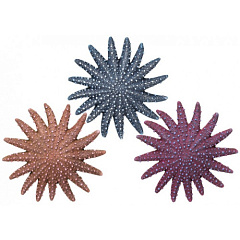 Декор для акваріума Морська індійськоокеанська зірка Starfish Aqua Ornaments Nobby Декор для акваріума Морська індійськоокеанська зірка Starfish Aqua Ornaments Nobby