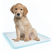 Памперси та туалети