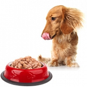 Консерви та паучі