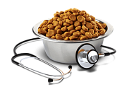 Лікувальний корм