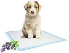 Впитывающие пеленки для собак с запахом лаванды Training Pads Nobby Впитывающие пеленки для собак с запахом лаванды Training Pads Nobby