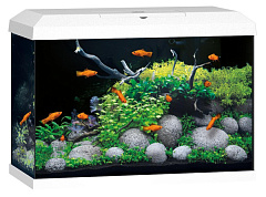 Акваріум 70 л з комплектом обладнання та системою фільтрації Bioflow Super Juwel Primo 70 LED 2.0