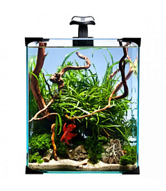 Набор для креветок, улиток и растений с нано-аквариумом 20 л, оборудованием и кормом Diversa nanoLED 20