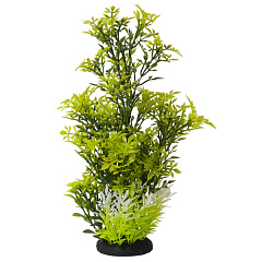 Декоративное растение для аквариума Ротала Rotala Aqua Plant Nobby