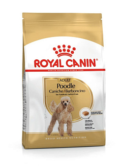 Сухой корм для собак породы Пудель Мальтипу в возрасте от 10 месяцев Royal Canin Poodle Adult