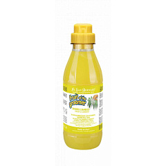 Дезинфицирующий шампунь для собак и котов Бузина и Имбирь Iv San Bernard Fruit of the Groomer Ginger & Elderberry Shampoo