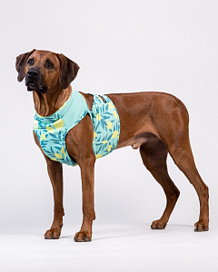 Охолоджуючий жилет для собак PAIKKA Cool Vest Green Lemon