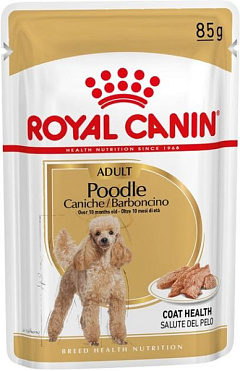 Влажный корм для собак породы Пудель Мальтипу в возрасте от 10 месяцев Royal Canin Poodle Adult