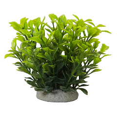 Декоративное растение для аквариума Людвигия Зеленая Ludwigia Green Aqua Plant Nobby