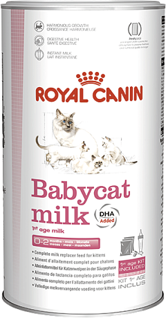 Заменитель кошачьего молока для котят с рождения до отлучения Royal Canin Babycat Milk 1st Age Milk Заменитель кошачьего молока для котят с рождения до отлучения Royal Canin Babycat Milk 1st Age Milk