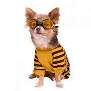 Одяг та взуття