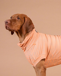 Інноваційна сорочка для собак з захистом від ультрафіолету та комах PAIKKA UV & Bug Shirt Peach