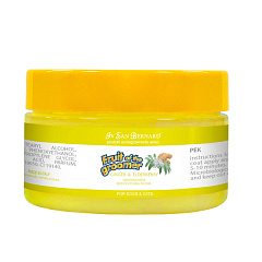 Дезинфікуюча маска для собак та котів Бузина та Імбир Iv San Bernard Fruit of the Groomer Ginger & Elderberry Mask