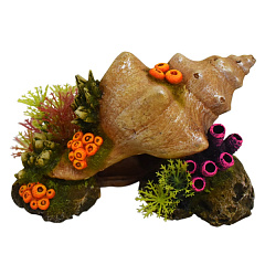 Декор для акваріума Мушля з баланусами Shell & Balanus Aqua Ornaments Nobby Декор для акваріума Мушля з баланусами Shell & Balanus Aqua Ornaments Nobby