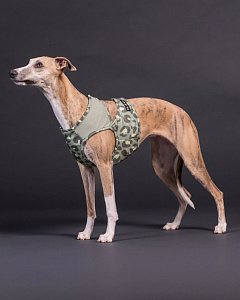 Охолоджуючий жилет для собак PAIKKA Cool Vest Green Leo