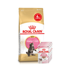 Акционный набор корма для котят породы Мейн Кун Royal Canin Maine Coon Kitten