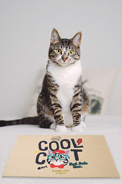 Антиковзкий лежак-килимок для котів Крута Кицька Cool Cat Mats Jungo Pets