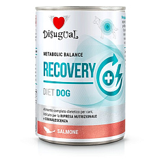 Влажный лечебный корм для собак в период восстановления Паштет из Лосося Disugual Metabolic Balance Diet Dog Recovery Salmon