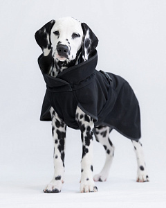 Водонепроницаемая восстанавливающая куртка на FIR-подкладке для собак PAIKKA Recovery Softshell Jacket Black Водонепроницаемая восстанавливающая куртка на FIR-подкладке для собак PAIKKA Recovery Softshell Jacket Black