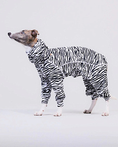 Інноваційний комбінезон для собак з захистом від ультрафіолету та комах PAIKKA UV & Bug Overall