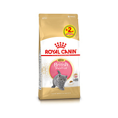 Royal Canin British Shorthair Kitten 8кг+2кг Сухой корм для котят в возрасте до 12 месяцев породы Британская Короткошерстная