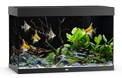 Аквариум 290 л с комплектом оборудования и системой фильтрации Bioflow L Juwel Rio 290 LED