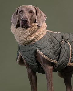 Зимняя оливковая куртка для собак на Sherpa-подкладке PAIKKA Quilted Sherpa Jacket Olive