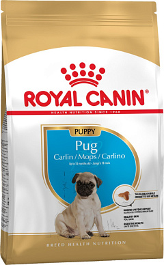 Сухой корм для щенков породы Мопс в возрасте до 10 месяцев Royal Canin Pug Puppy   Сухой корм для щенков породы Мопс в возрасте до 10 месяцев Royal Canin Pug Puppy