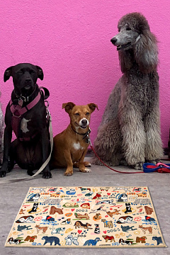 Антиковзкий лежак-килимок для собак Породи My Dogs Mats Jungo Pets Антиковзкий лежак-килимок для собак Породи My Dogs Mats Jungo Pets