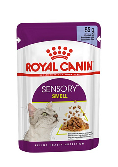 Влажный корм в желе для взрослых котов стимулирующий обонятельные рецепторы Royal Canin Sensory Smell Jelly