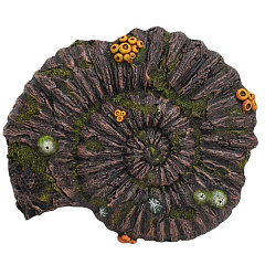 Декор для акваріума Амонітова Скам'янілість Ammonite Fossil Aqua Ornaments Nobby
