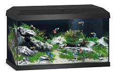 Акваріум 57 л з комплектом обладнання та системою фільтрації Bioflow One Juwel Primo 60 LED 2.0