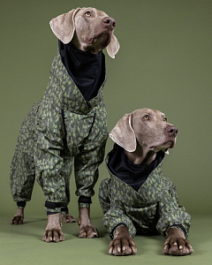 Водонепроницаемый костюм со светоотражающим узором для собак PAIKKA Rain Suit Green Водонепроницаемый костюм со светоотражающим узором для собак PAIKKA Rain Suit Green