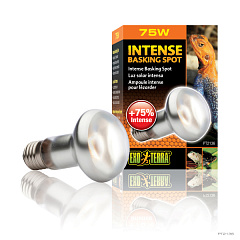 Рефлекторная лампа накаливания для обогрева террариума Exo Terra Basking Spot Intense 75W