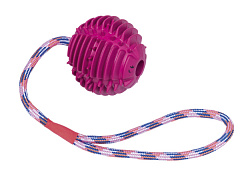 Игрушка для собак Мяч с нейлоновой веревкой Nobby