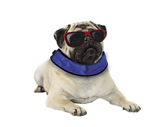 Охлаждающий воротник для собак Cooling Collar Nobby